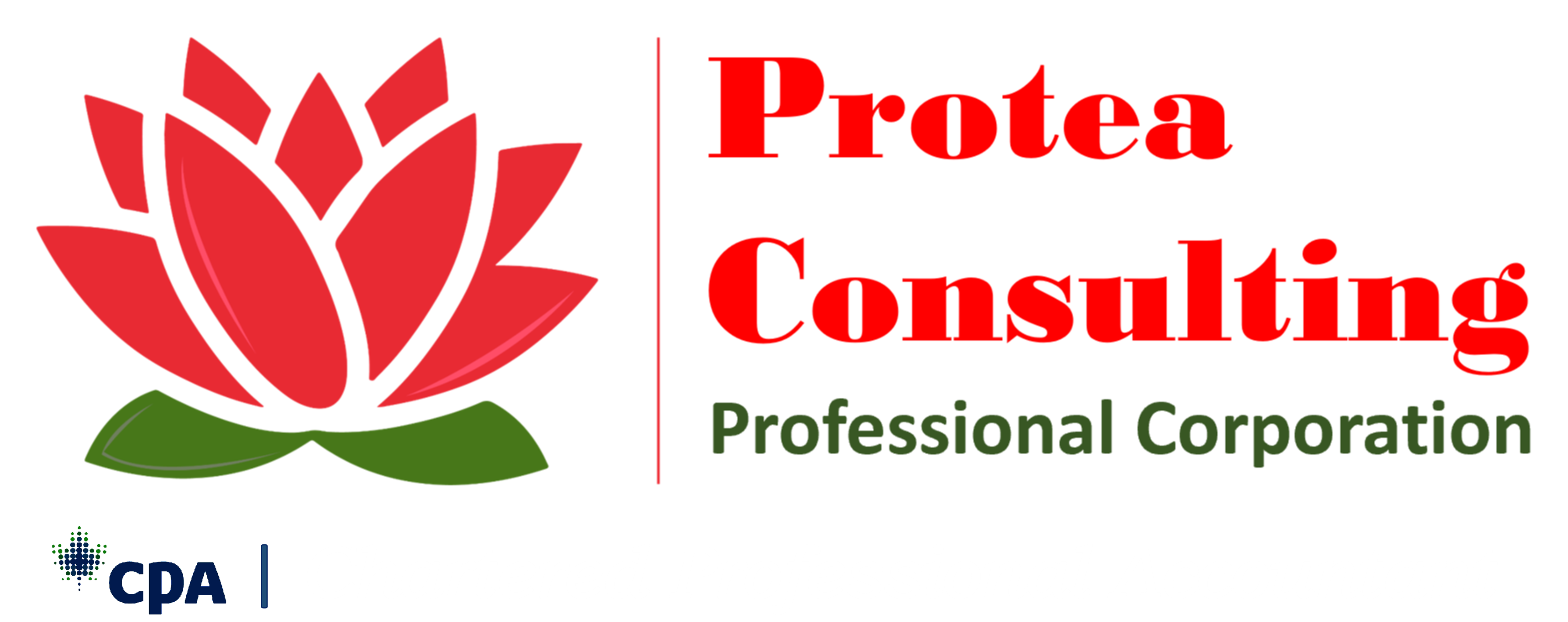 Protea Consulting Professional Corporation - Chartered Professional Accountant